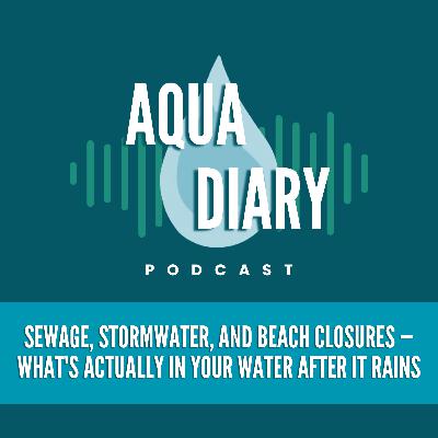 Sewage, Stormwater, and Beach Closures — What's Actually In Your Water After It Rains? Sewage, Stormwater, and Beach Closures — What's Actually In Your Water After It Rains?