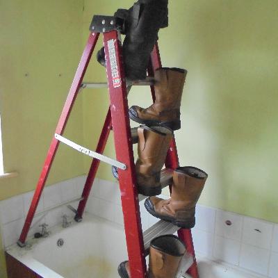 Weird Audio Productions PROCLAMATION 06-05-19 Weird Audio Productions PROCLAMATION 06-05-19