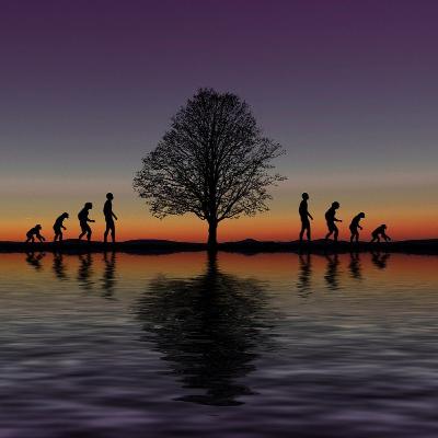 Τι μας κάνει ανθρώπους; Γονιδιωματική μελέτη σε πρωτεύοντα επιχειρεί να απαντήσει