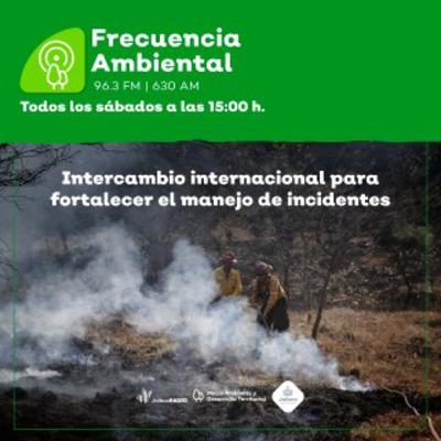 Episodio 213. Intercambio internacional para fortalecer el manejo de incidentes