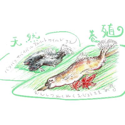 【コトバマジック】ep.561