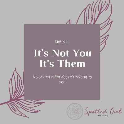 It's Not You, It's Them. Healing Podcast Ep. 1