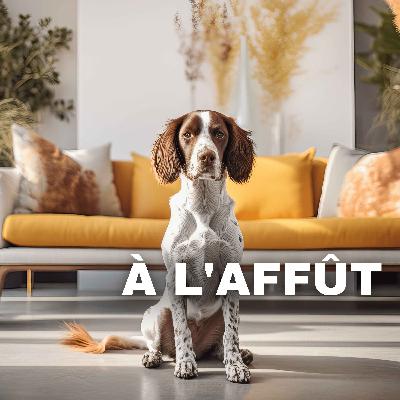 Comment la place du chien de chasse a-t-elle évolué dans notre société ?