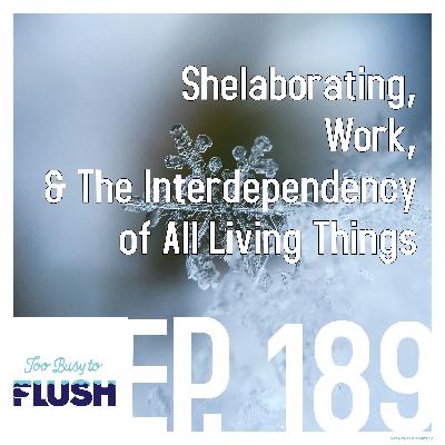 Shelaborating, Work, & The Interdependency Of All Living Things