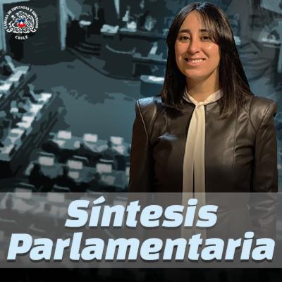 Síntesis Parlamentaria - Semana del 27 de Octubre de 2025 Síntesis Parlamentaria - Semana del 27 de Octubre de 2025