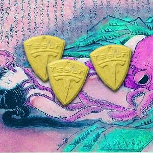 Octopuses on MDMA *New Research*