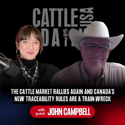 244: The Cattle Market Rallies Again and Canada’s New Traceability Rules Are a Train Wreck with John Campbell