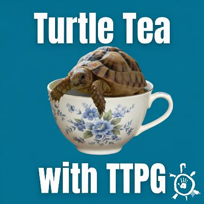 Egyptian Tortoises: Breeding to Save a Species Egyptian Tortoises: Breeding to Save a Species