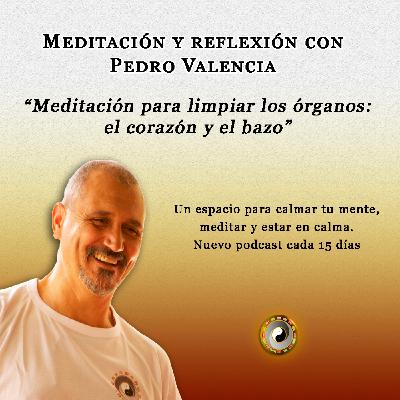 Meditación y reflexión con Pedro Valencia: meditación para limpiar los órganos; el corazón y el bazo