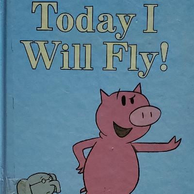 Today I will fly