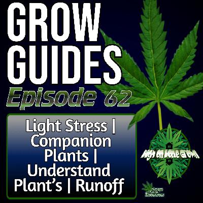 How to Spot Light Stress Early | Companion Planting for Cannabis | Reading Plant Signals | Mastering Runoff | + Listener Mail | Grow Guides Ep. 62