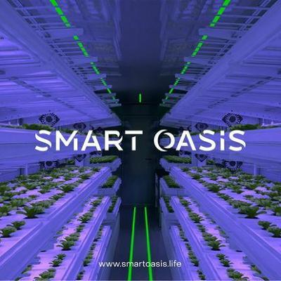 Startup Smart Oasis offers vertical farming technology Startup Smart Oasis offers vertical farming technology