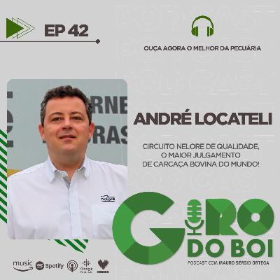 Circuito Nelore de Qualidade, o maior julgamento de carcaça bovina do mundo!