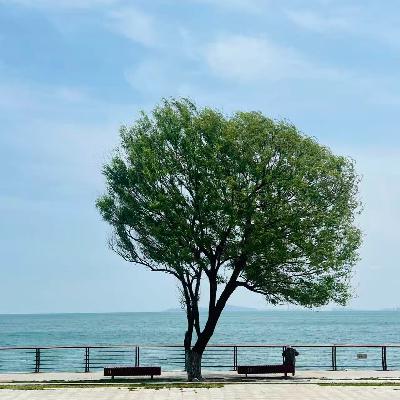 EP.32 《金钱的艺术》:当心理红利与静默复利来敲门 | 淘金 EP.32 《金钱的艺术》:当心理红利与静默复利来敲门 | 淘金