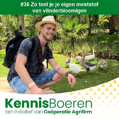 #36 Zo teel je je eigen meststof van vlinderbloemigen