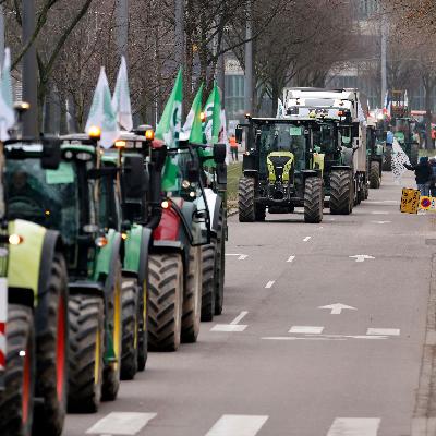 Wohin sollten die Subventionen in der Landwirtschaft fließen?