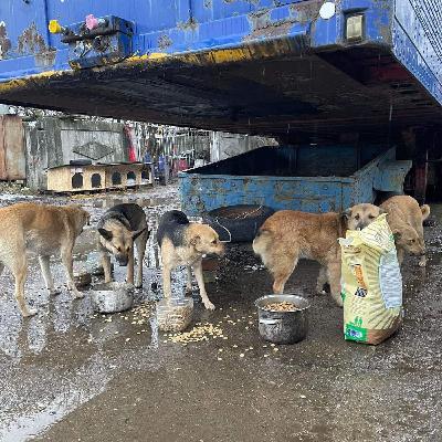 Gabbin’ with Gary!  Interview Julia Vrillaund & Claudia Panzer with Animal Rescue Mariupol PT 2 Gabbin’ with Gary!  Interview Julia Vrillaund & Claudia Panzer with Animal Rescue Mariupol PT 2