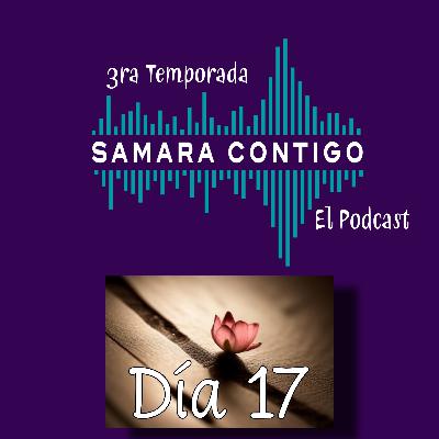 Diario de Resiliencia - Día 17