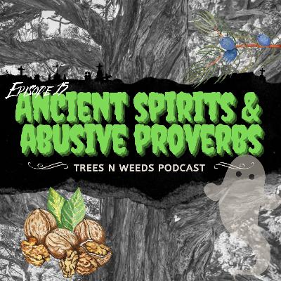 Ep. 15 - Ancient Spirits & Abusive Proverbs Ep. 15 - Ancient Spirits & Abusive Proverbs