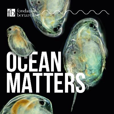 Plankton - A Miniature Kaleidoscope of Life