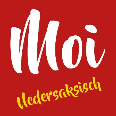 12. Hans Heyting - De slaopwandelaar