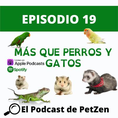 Episodio #19 Más que Perros y Gatos