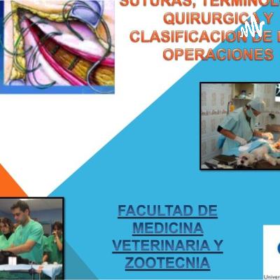 CICATRIZACION
