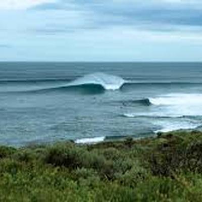 Margaret River senior high school dominated the WA School Surfing titles