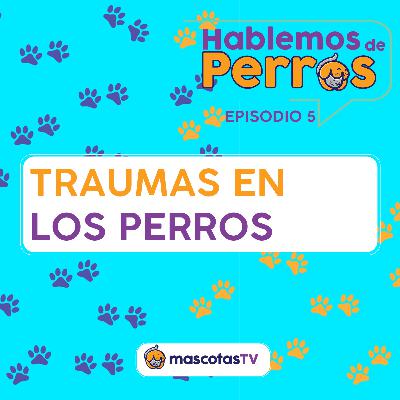 Los Traumas en los perros | Hablemos de Perros EP 5 Los Traumas en los perros | Hablemos de Perros EP 5