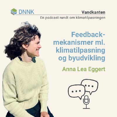Feedback-mekanismer ml. klimatilpasning og byudvikling