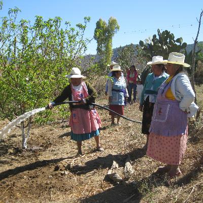 Programa 200. Nuestro vínculo con la tierra