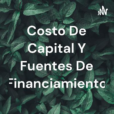 Costo de Capital y Financiamiento interno y externo Costo de Capital y Financiamiento interno y externo