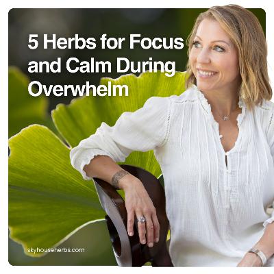 5 Herbs for Focus and Calm During Overwhelm