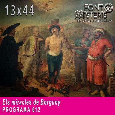 Els miracles de Borguny (T13- Programa 612)