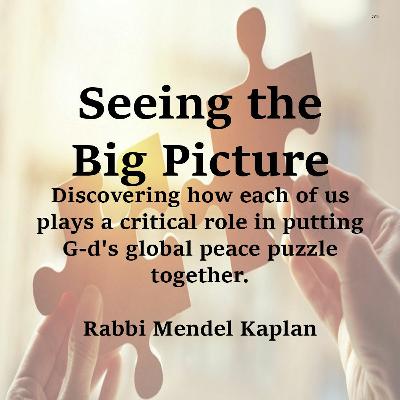 Seeing The Big Picture