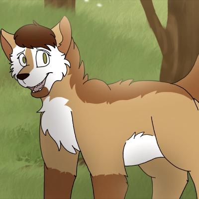 The final chapter in the lost Wolf pup book one The final chapter in the lost Wolf pup book one
