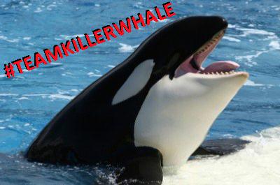 Episode 004: Tables, Tedium, and #TeamKillerWhale