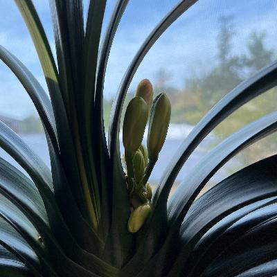 破局