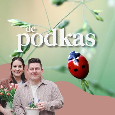 De Podkas #S2E11: Natuurlijke vijanden | Kolibrievlinder | Lathyrusbij
