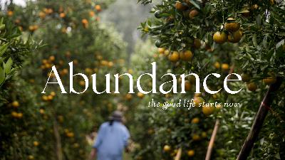 Abundance | Loving the Things of This World