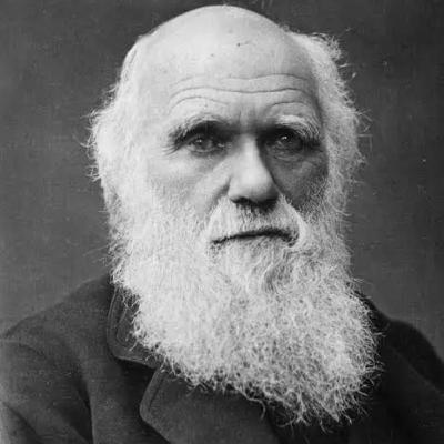 Día de Darwin
