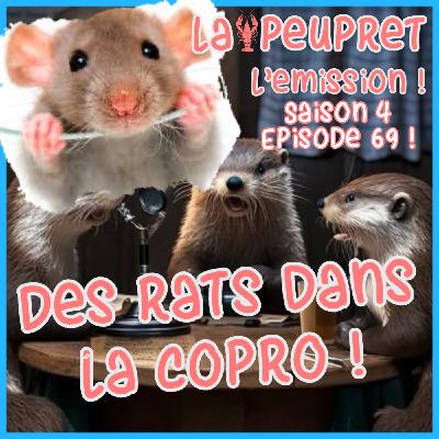 69-Episode Soixante-Neuvième : Des Rats dans la Copro !