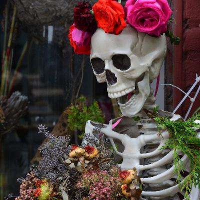 Special Episode: Day of the Dead & Halloween Special Episode: Day of the Dead & Halloween