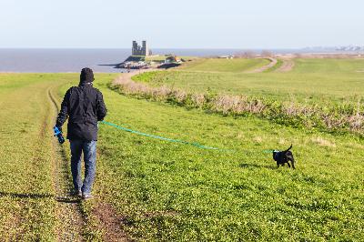 The Walk