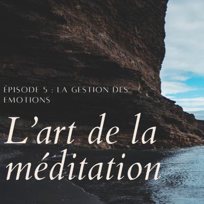 L'art de la méditation - épisode 5 - La gestion des émotions