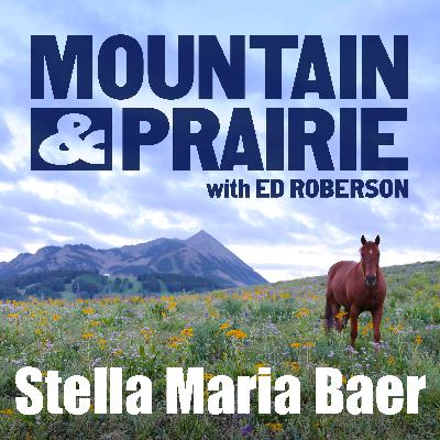 Stella Maria Baer – Moons, Horses, and New Mexico Light