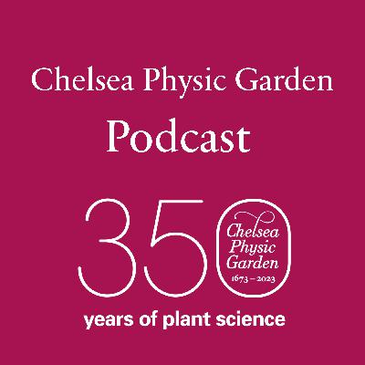 A physic garden for the future A physic garden for the future
