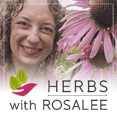 Benefits of Elecampane Root + Elecampane Herbal Bitters Recipe
