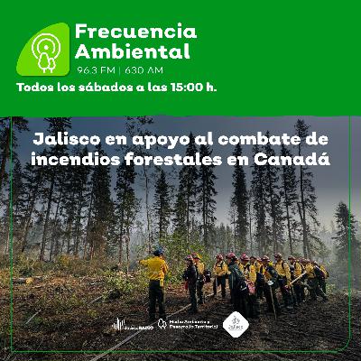 Episodio 205. Jalisco en apoyo al combate de incendios forestales en Canadá