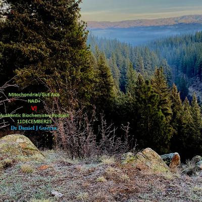 Mitochondrial/Gut Axis NAD+ VI Authentic Biochemistry Podcast 11DECEMBER25 Dr Daniel J Guerra.
